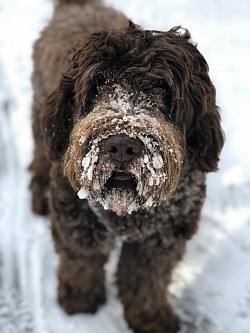 Storybook Luigi loves snow