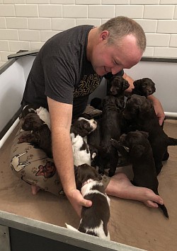 Storybook Labradoodles litter of puppies