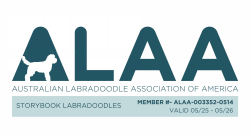 ALAA Website