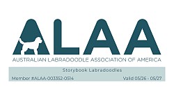 ALAA Website